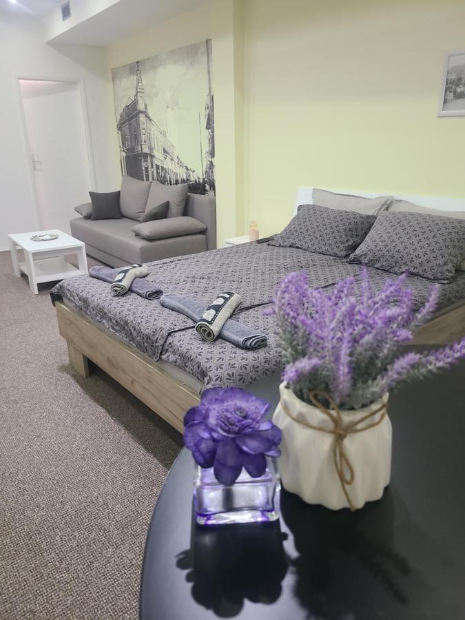 Stari Zajecar Apartments Rum bild
