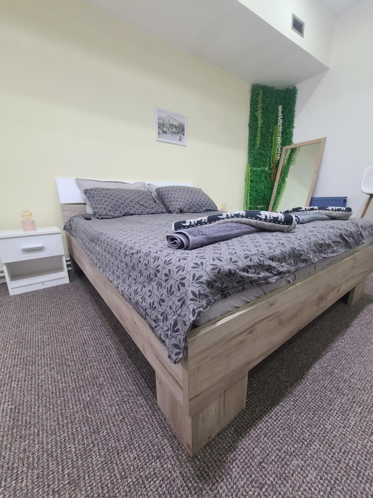 Stari Zajecar Apartments Rum bild